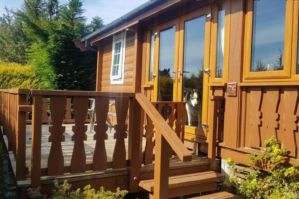 Cabin Apartment Trawsfynydd Exterior photo